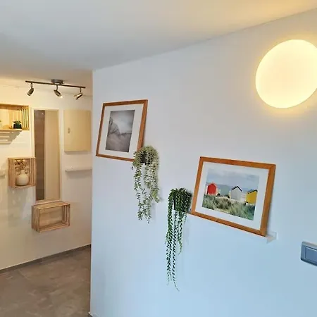 Apartment Le T3 A 50m De La
